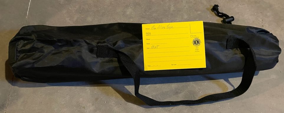 #130 - Bee Alive Yoga Studio